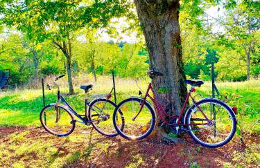 Villa Meadow - Foto 26