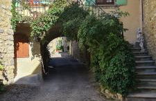 La salamandre - Foto 23