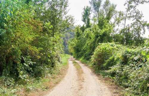 Historic mansion by the River Lot in Cénevières - Foto 5
