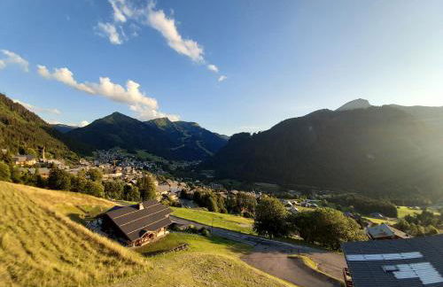 Les Vues de Lily - Châtel - Foto 52