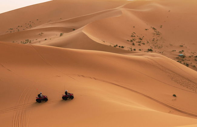 Ica Desert Quad Tour - Foto 8