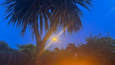 Detached home - Donaghadee - Foto 4, Garden