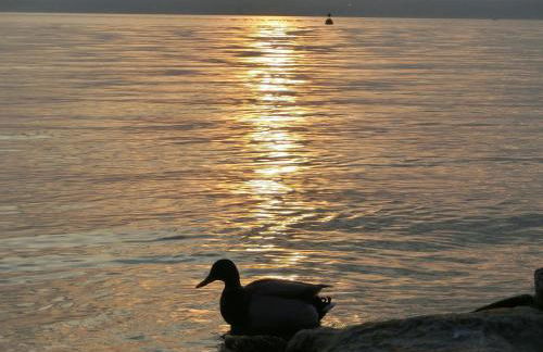 Casa Marisa - Foto 15