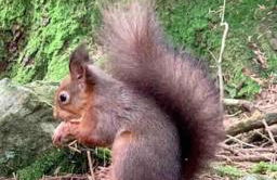 Sunset View one bedroom luxury cottage in an idyllic setting - Foto 41