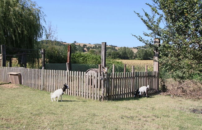 Cottage in Todi With Pool and Sauna - Foto 33