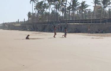 Caminho da Praia - Foto 22