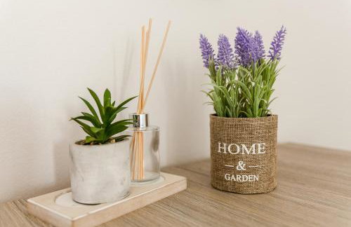 MariRena plaz - Foto 56