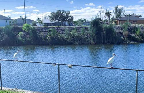 Relax with nature in our Waterfront 4 bedroom -HEATED POOL HOME-KING BED - Foto 9