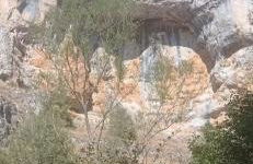 Entrada Río Lobos - Photo 56