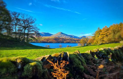 Buxton Mews - Photo 23