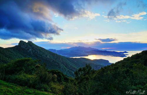 Il Nido di Rio Elba - Foto 18