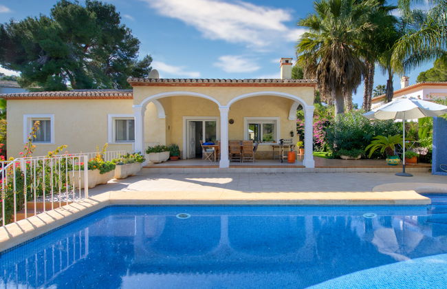 Eucaliptus - Foto 37