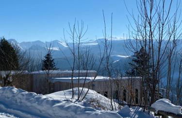 L'Avancée Chalet contemporain au coeur du Sancy AUVERGNE - Foto 40