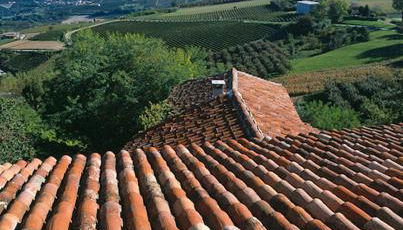 Dindina Agriturismo - Foto 4