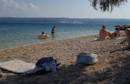 Vila nel verde - Foto 37