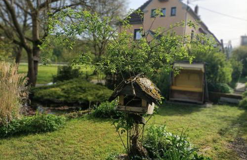 Casa Verde Sinnerthal - Foto 65