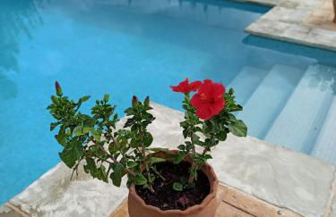 Casas Rurales Majana 1 - Foto 30