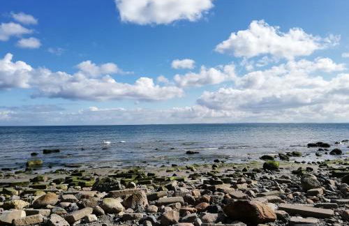 Alte Stellmacherei - Ferienwohnung 1 - Foto 14