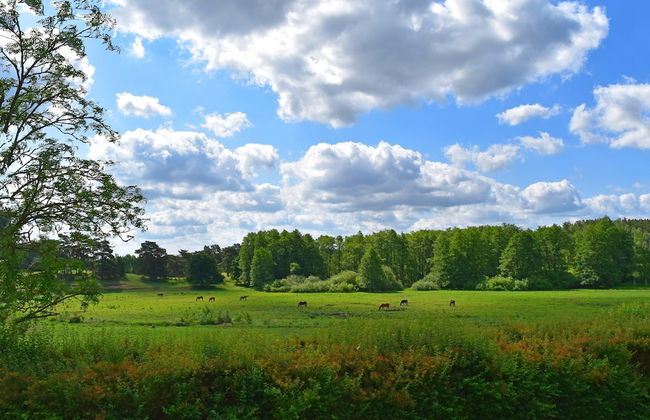 Ferienhaus am Garder See Inselblick - Photo 41