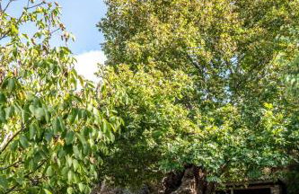 Kalliopi's Apartment - Photo 38