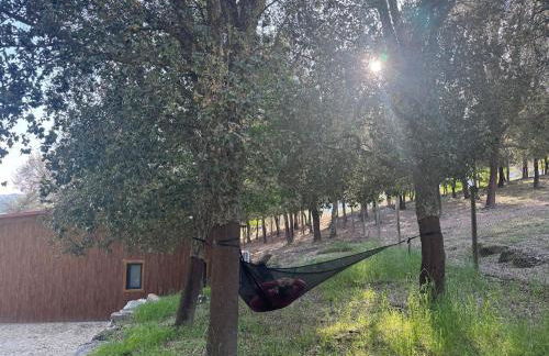 Casa do Esquilo - Foto 18