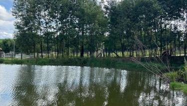 Chácara Canto do Galo - Foto 5