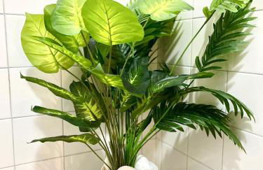 Golden Star Milano - Foto 45