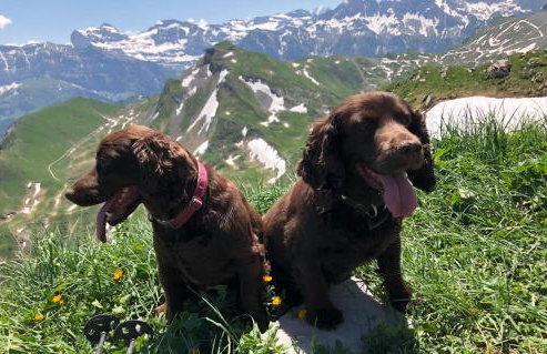 Chalet Domino - Foto 29