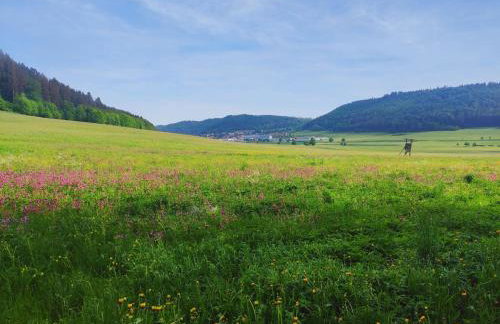 Apfelkiste - Foto 27