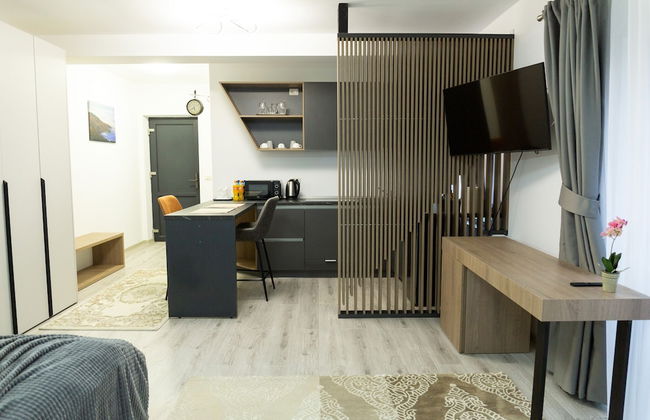 Frasin Studios-6 km to Voronet Monastery - Foto 18