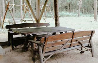 Domek na Drzewie Radziejowice blisko Suntago - Photo 6