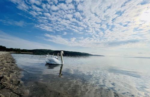 `Kapitänslounge` vollsanierte Fewo mit Blick auf die Flensburger Förde - Foto 13