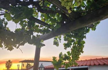 Quinta Kaleidoscope - Foto 6