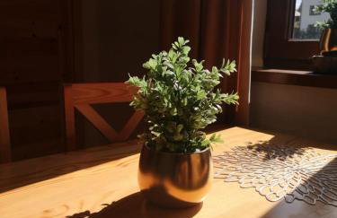 Zwardoniówka Apartamenty pod Orawcową - Foto 17