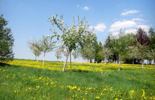 Ferienwohnung Kuhn - Foto 20