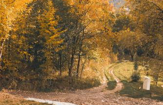 Zachód Beskidu domek z Jacuzzi na wyłączność - Foto 55