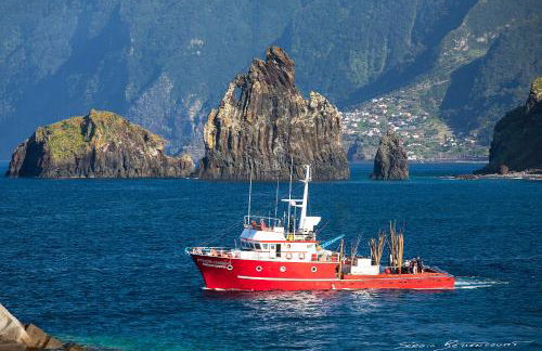 Porto Moniz Villa - Foto 37