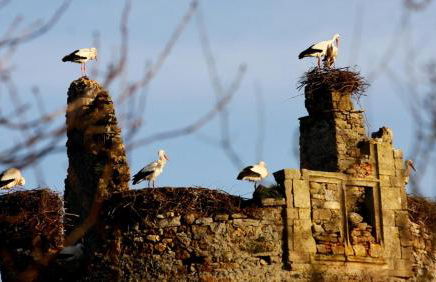 Normand'Histoire Gite 1869 - Foto 26