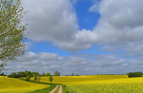 Apartment fur 3 in Metelsdorf - Foto 52