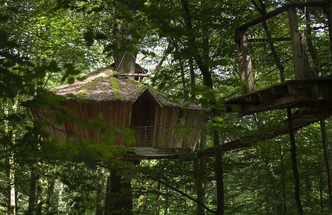 L'Arbre à Cabane - Foto 50