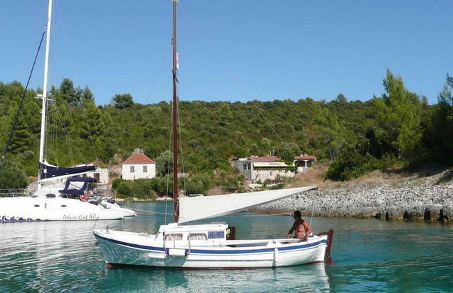 Apartments Dobrila - Foto 41