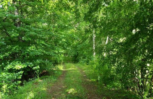 Country Mountain Escape! - Foto 28