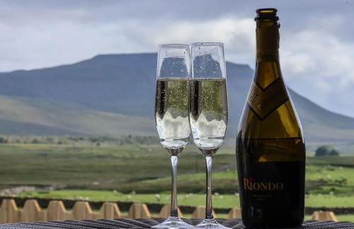 Oyster Catcher - Foto 14