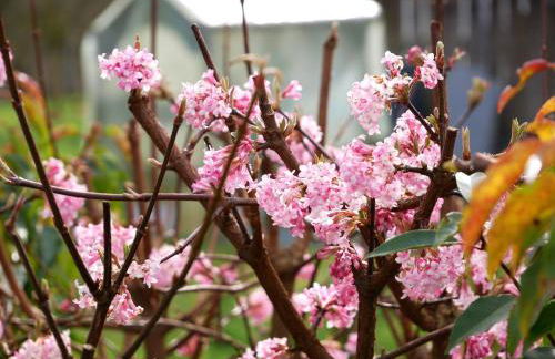 Ferienwohnung Obere Alm - Foto 13