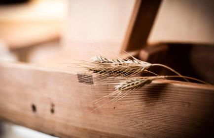 Burgfrieder Mühle - Photo 31