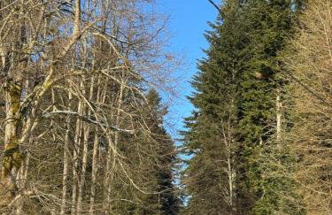 Na Świerkowym Strychu - Photo 3