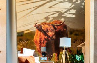 Krovacja - całoroczne domki w Puszczy Noteckiej - Foto 51