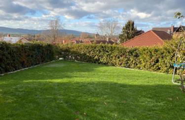 Rose Garden - Foto 21