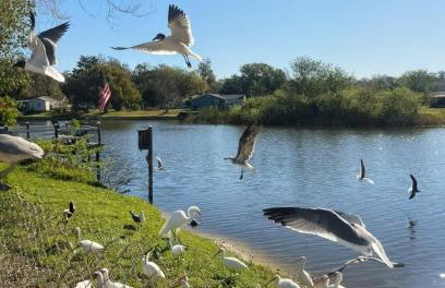 Private Tropical Waterfront Sanctuary w pool, hot tub & an island! Pet Friendly - Foto 17