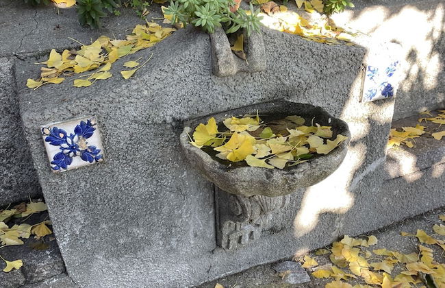 Casa Velha - Santiago Family House - Foto 29